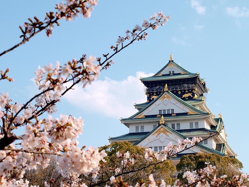 桜_5-04_大阪城